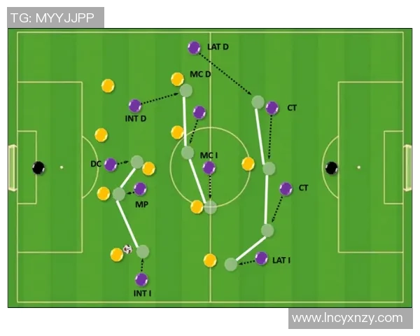 南京排球队盯防体系解析与战术运用探讨