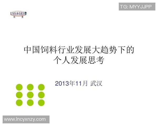 对话赵芳:回顾辉煌排球生涯与未来发展的思考与展望 对话赵芳:回顾辉煌排球生涯与未来发展的思考与展望