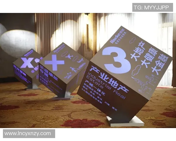 探索北京足球队的战术布局与运营体系的创新之路