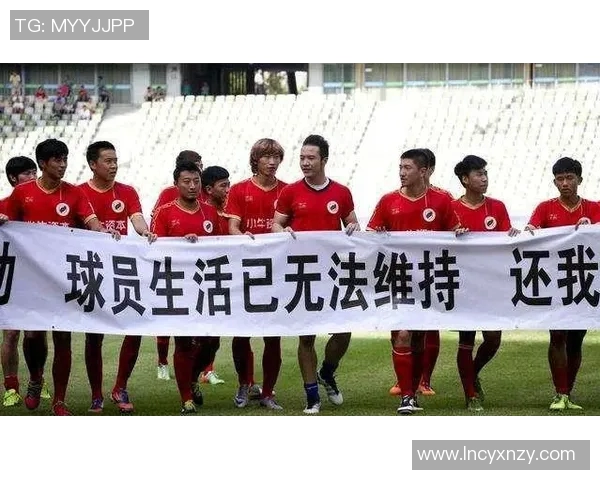 武汉排球队耐力争议引发热议球迷与专家各执己见的背后故事