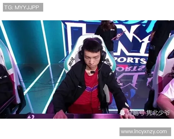 王者荣耀战队LNG的团队协作与战略分析探讨