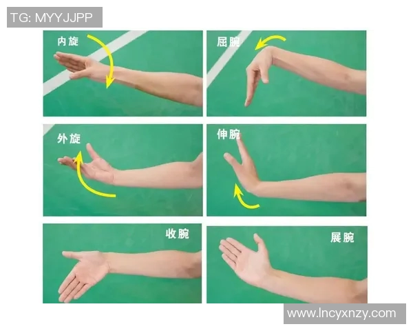 科学羽毛球力量训练技巧与方法提升运动表现的全面指南