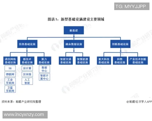 北京排球队战术解析与未来发展方向的深度探讨