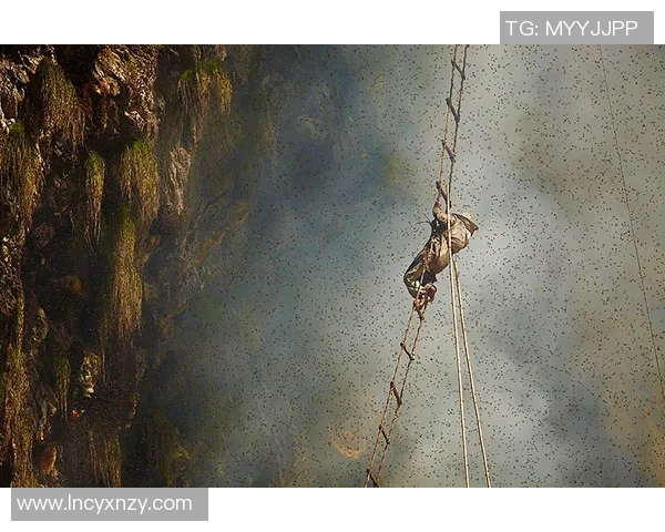 攀岩战术与团队协作上海攀岩队的运营体系探索与实践