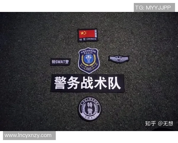 武汉极限运动队战术深度解析与对比研究 武汉极限运动队战术深度解析与对比研究