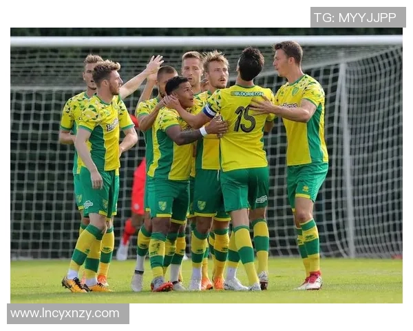 诺丁汉与沃特福德对决分析及赛前预测全方位解读