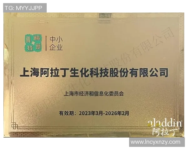 倪永康的政治生涯与影响力分析：从权力中心到历史评价的深度探讨