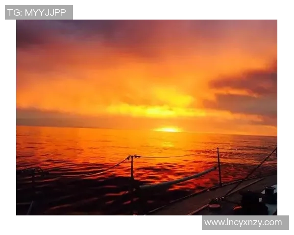 杭州极限运动队的拼搏之路:勇敢追梦的真实故事与奋斗纪实MBA 杭州极限运动队的拼搏之路:勇敢追梦的真实故事与奋斗纪实MBA