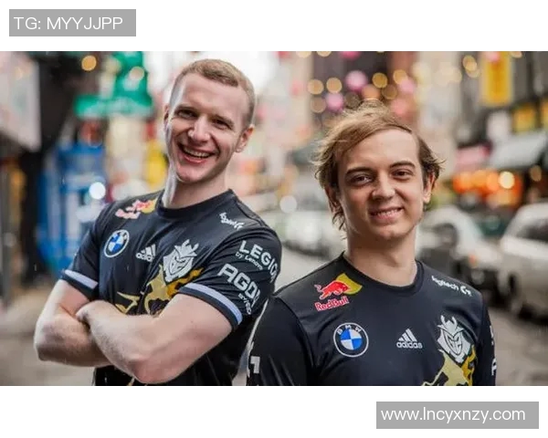 数据分析揭示TES团队协作表现的优势与不足之处