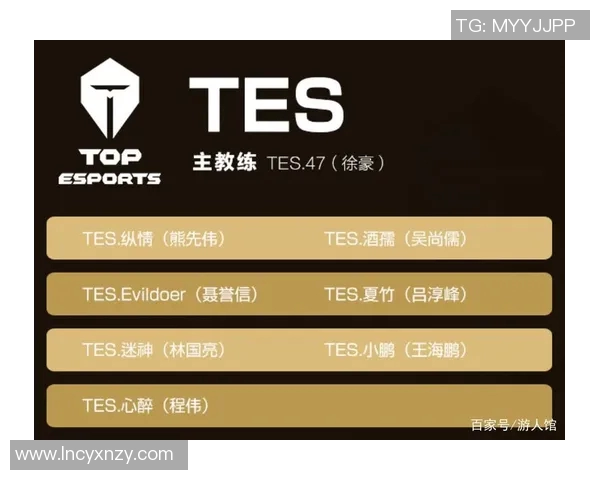 王者荣耀战术分析：深入探讨TES战队的包夹策略与执行细节