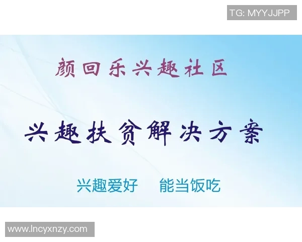 飞盘与梦想交织的旅程：王强的深度对话与人生启示